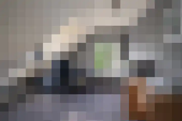 Pastoor van Breugelstraat 67 Bosschenhoofd thumbnail 40