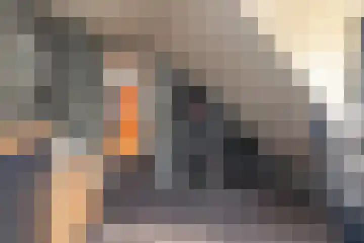Pastoor van Breugelstraat 67 Bosschenhoofd thumbnail 41