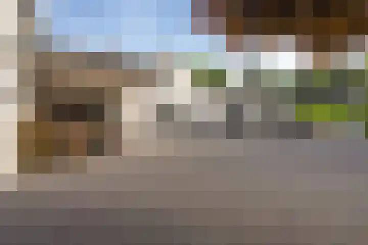 Pastoor van Breugelstraat 67 Bosschenhoofd thumbnail 45