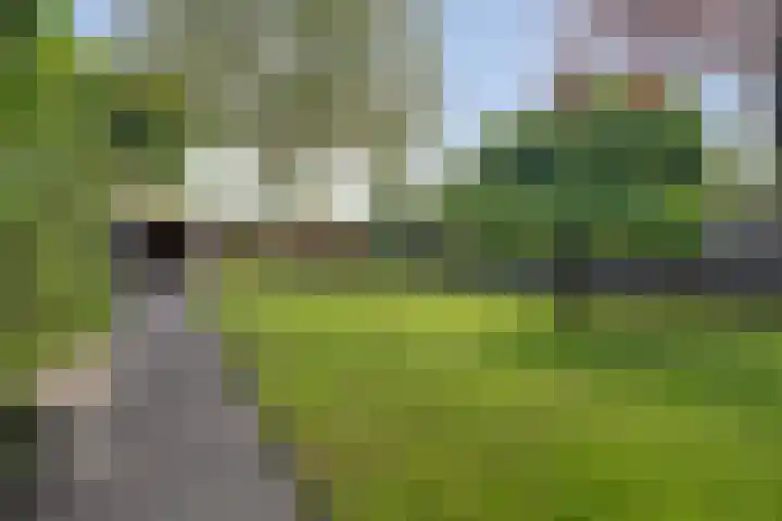 Pastoor van Breugelstraat 67 Bosschenhoofd thumbnail 50