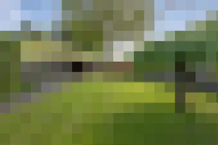 Pastoor van Breugelstraat 67 Bosschenhoofd thumbnail 51