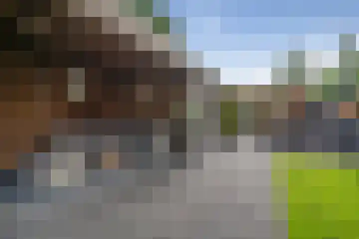 Pastoor van Breugelstraat 67 Bosschenhoofd thumbnail 54