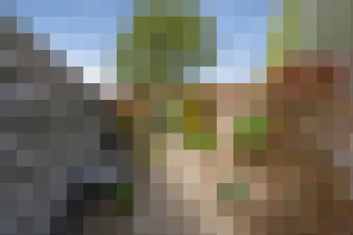 Pastoor van Breugelstraat 67 Bosschenhoofd thumbnail 57