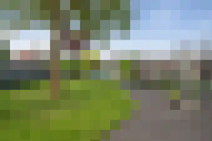 Pastoor van Breugelstraat 67 Bosschenhoofd thumbnail 59