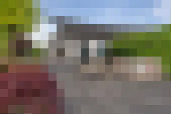 Pastoor van Breugelstraat 67 Bosschenhoofd thumbnail 65