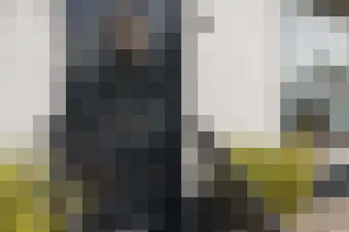 Pastoor van Breugelstraat 67 Bosschenhoofd thumbnail 70
