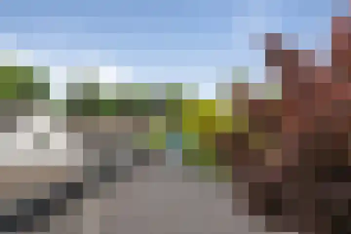 Pastoor van Breugelstraat 67 Bosschenhoofd thumbnail 72