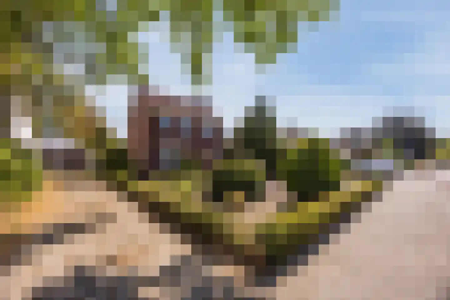 Pastoor van Breugelstraat 75 a Bosschenhoofd thumbnail 15