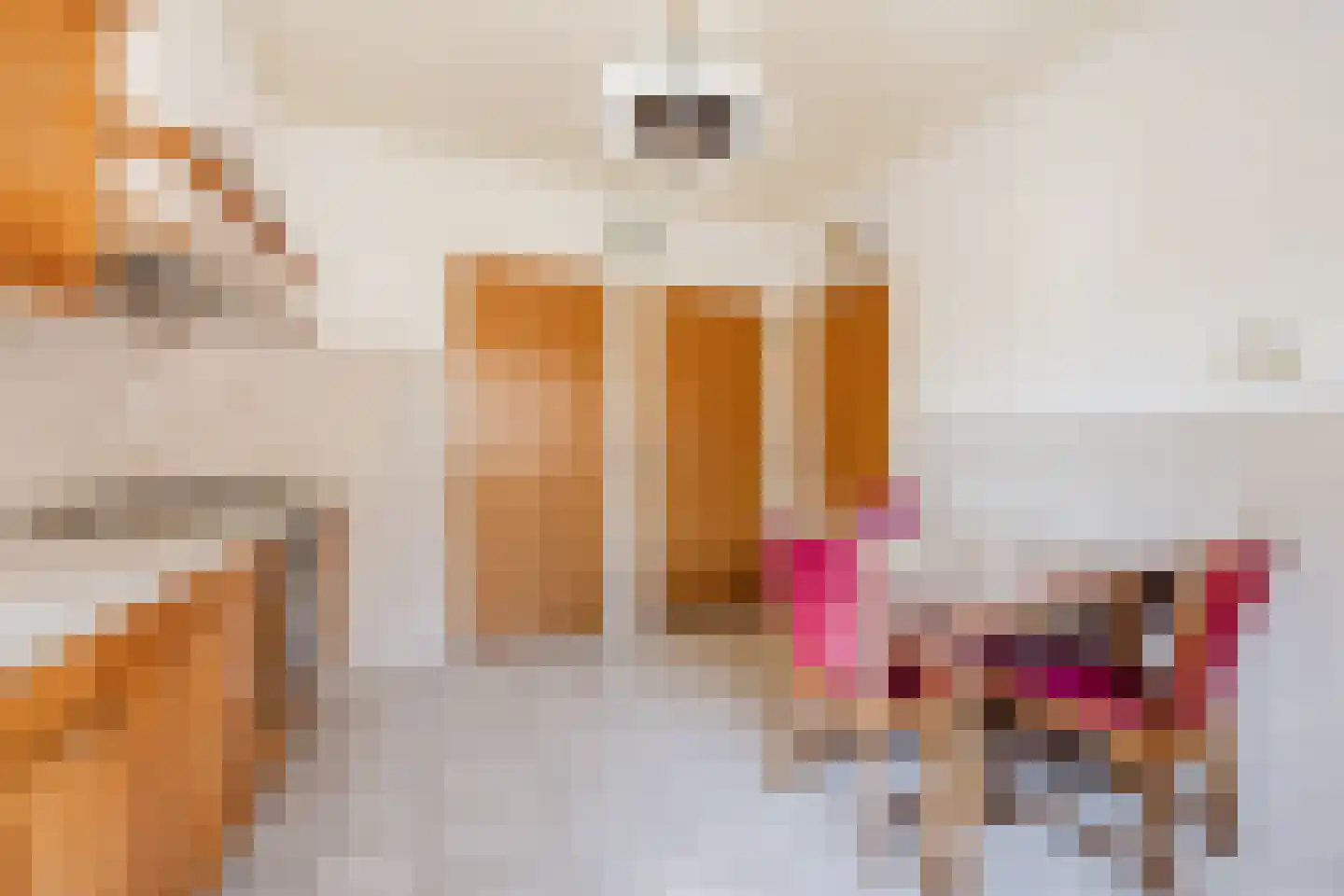 Pastoor van Breugelstraat 75 a Bosschenhoofd thumbnail 25