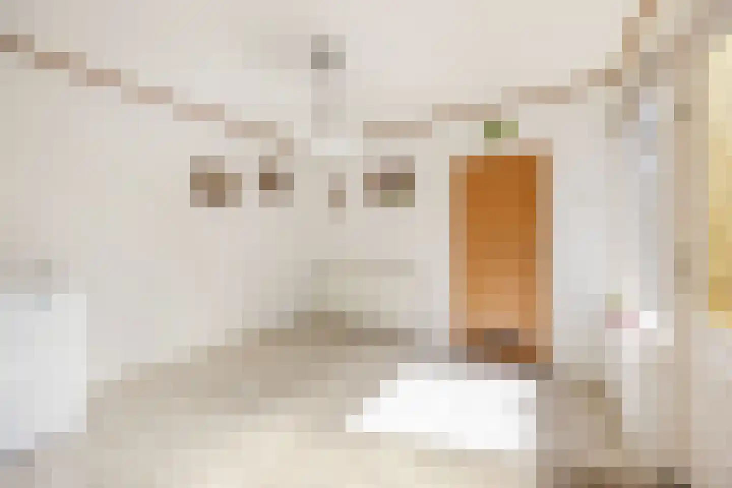 Pastoor van Breugelstraat 75 a Bosschenhoofd thumbnail 29