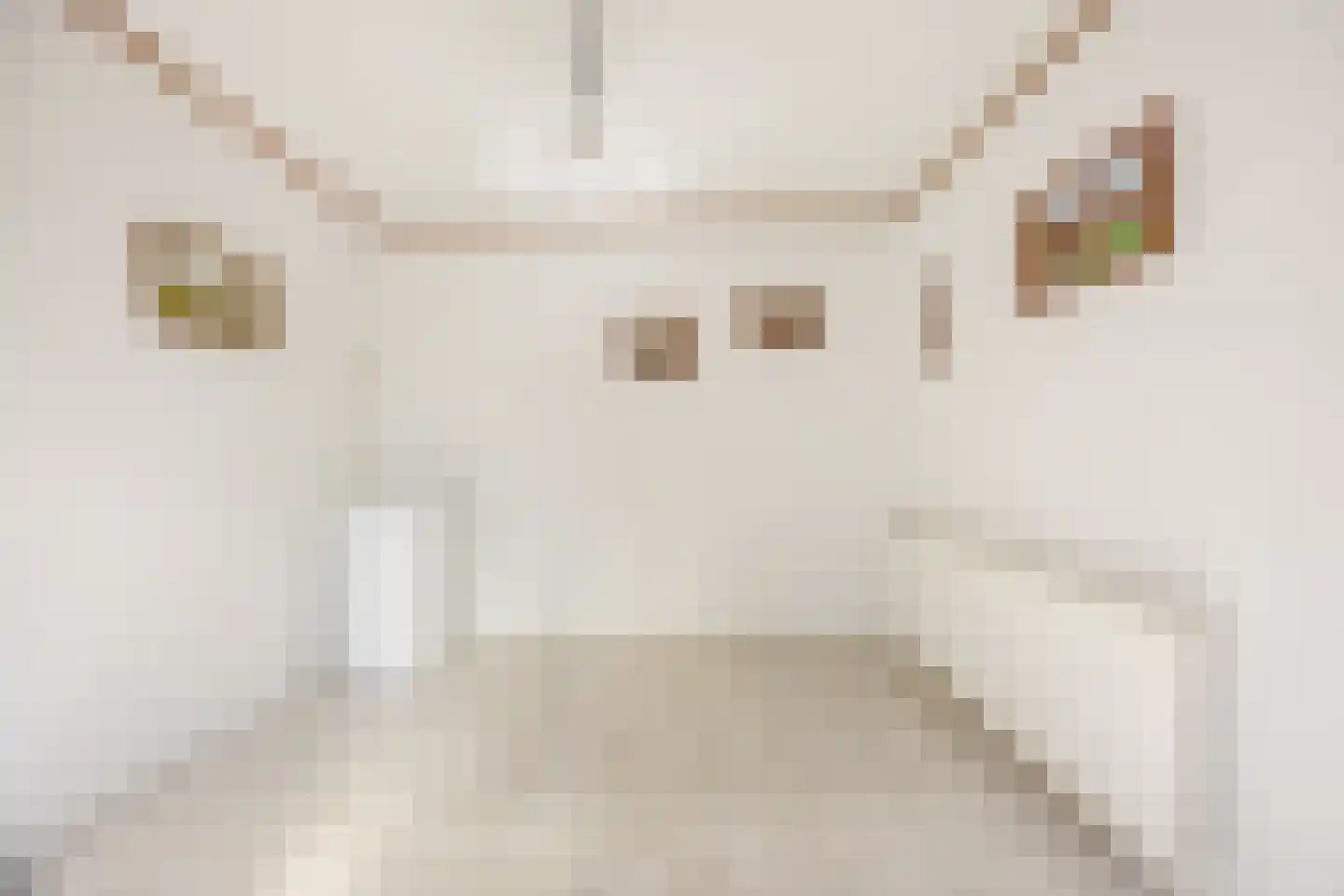 Pastoor van Breugelstraat 75 a Bosschenhoofd thumbnail 31