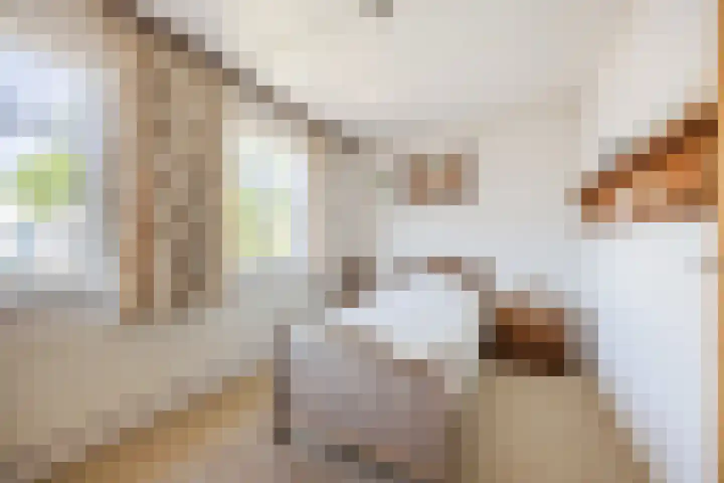 Pastoor van Breugelstraat 75 a Bosschenhoofd thumbnail 37
