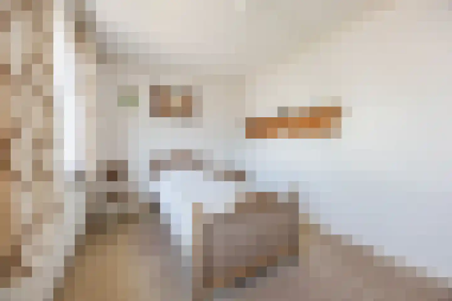 Pastoor van Breugelstraat 75 a Bosschenhoofd thumbnail 38