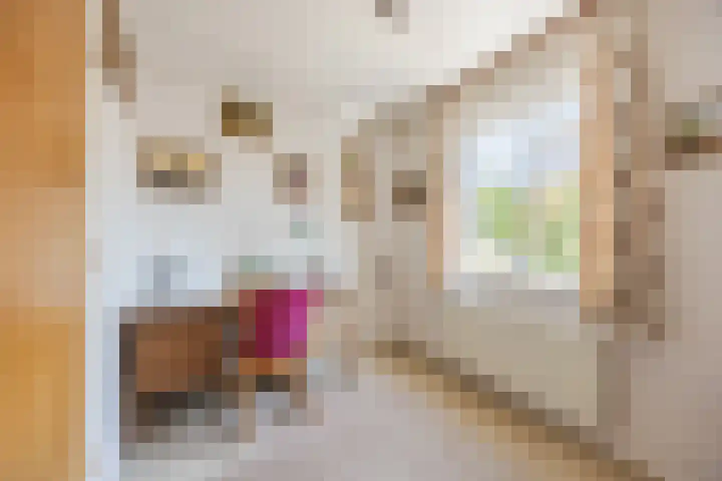 Pastoor van Breugelstraat 75 a Bosschenhoofd thumbnail 40