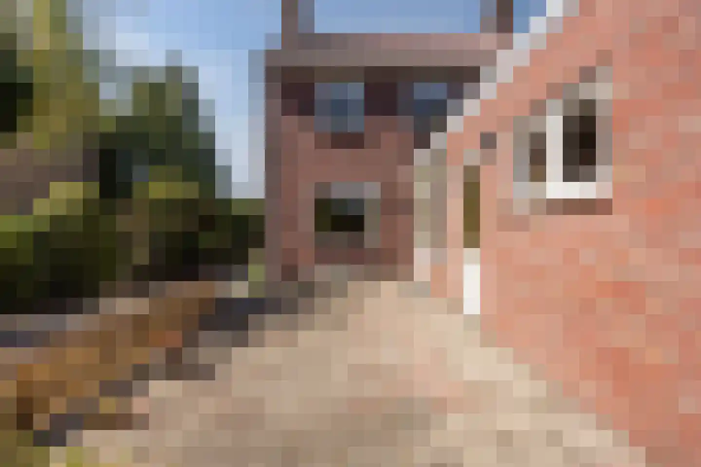 Pastoor van Breugelstraat 75 a Bosschenhoofd thumbnail 43