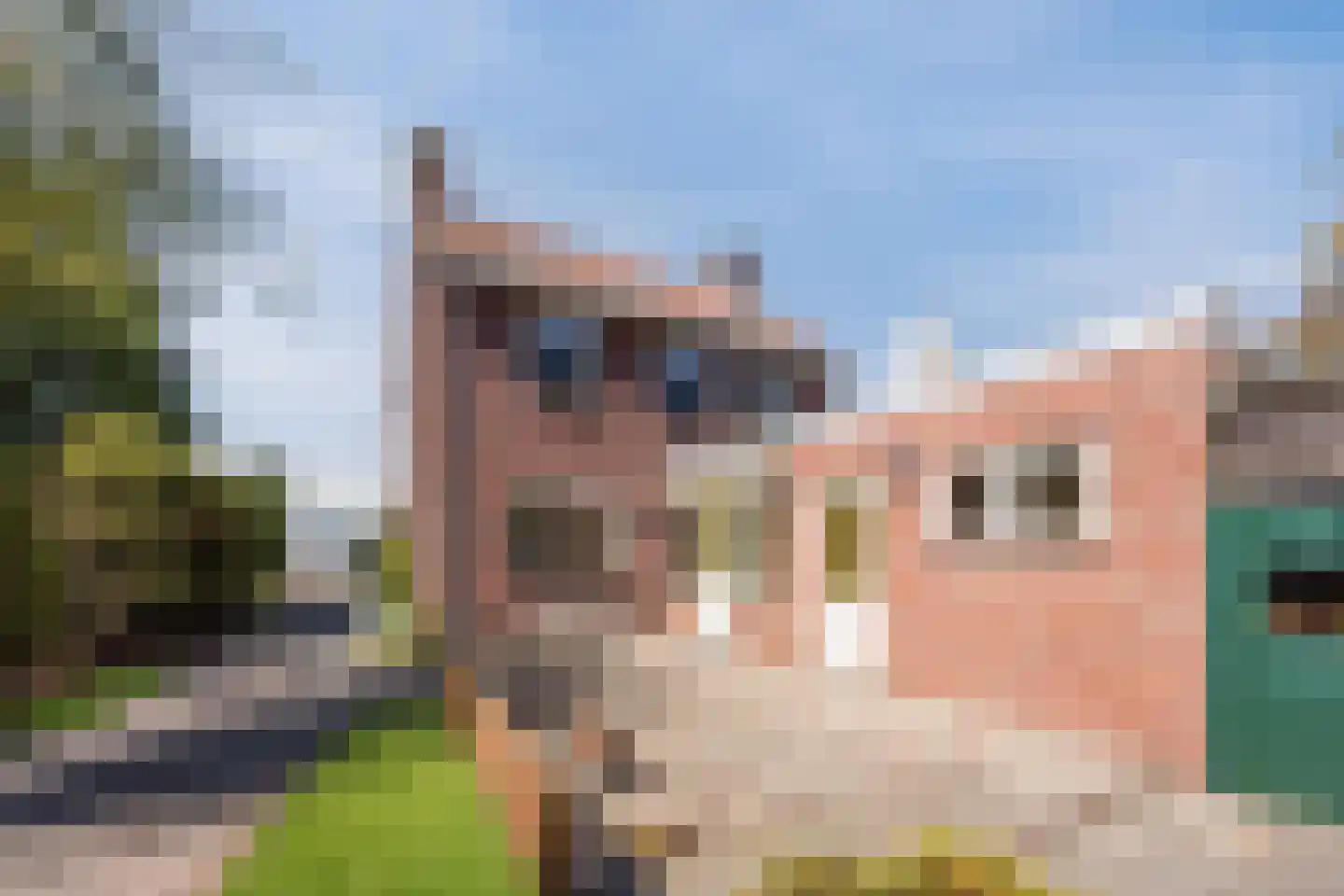 Pastoor van Breugelstraat 75 a Bosschenhoofd thumbnail 44