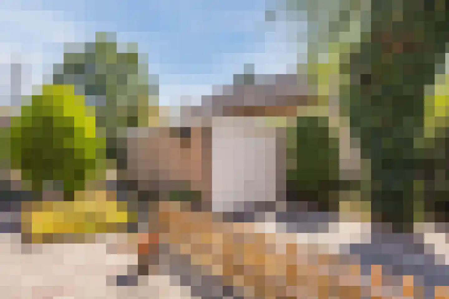 Pastoor van Breugelstraat 75 a Bosschenhoofd thumbnail 48