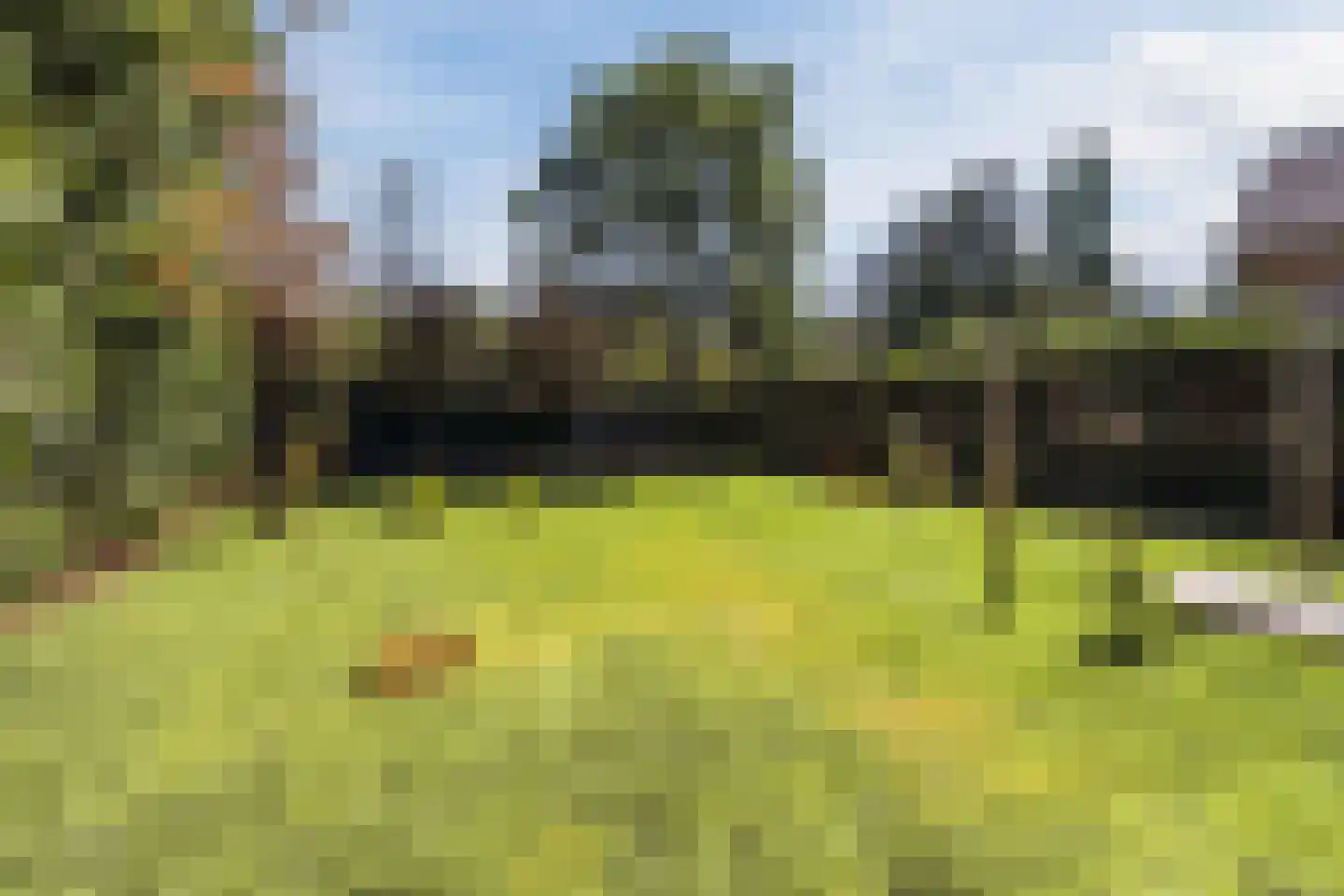 Pastoor van Breugelstraat 75 a Bosschenhoofd thumbnail 49