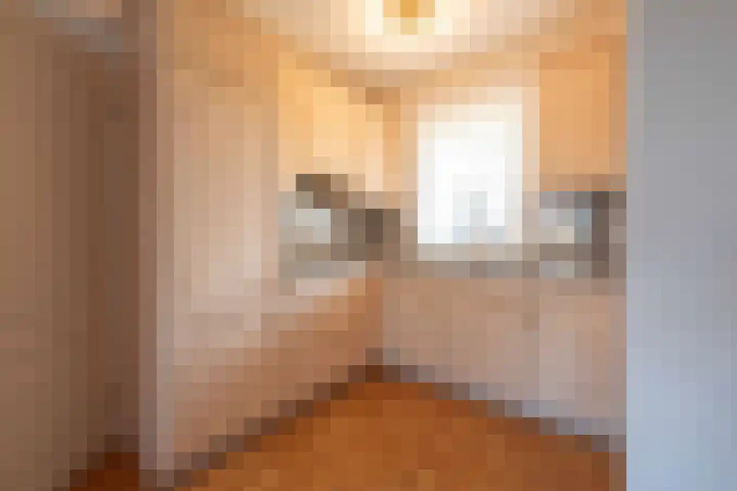 Pastoor van Breugelstraat 9 Bosschenhoofd thumbnail 19