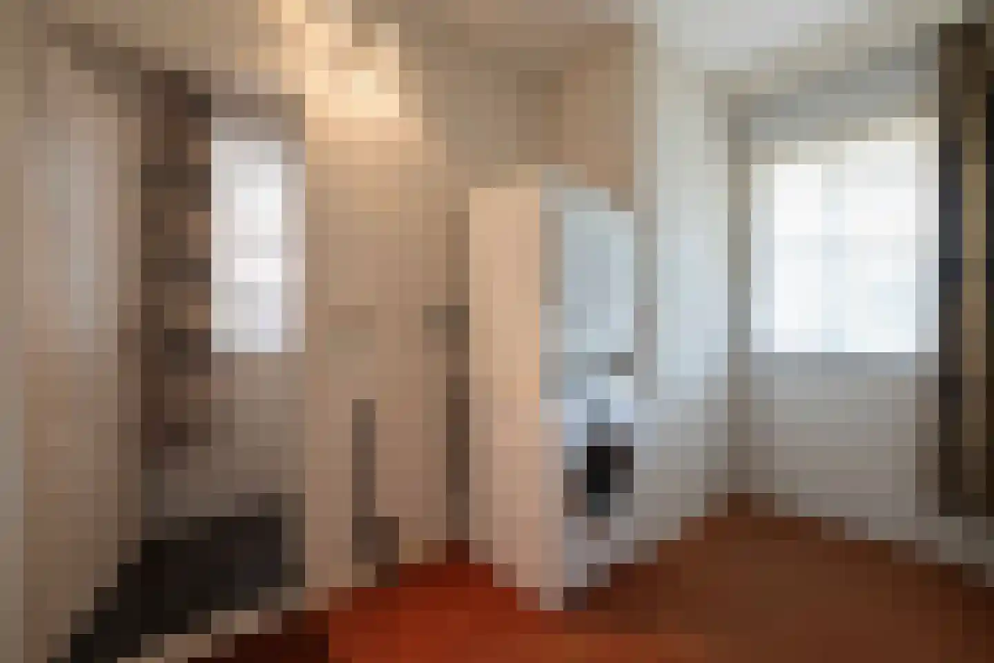 Pastoor van Breugelstraat 9 Bosschenhoofd thumbnail 21