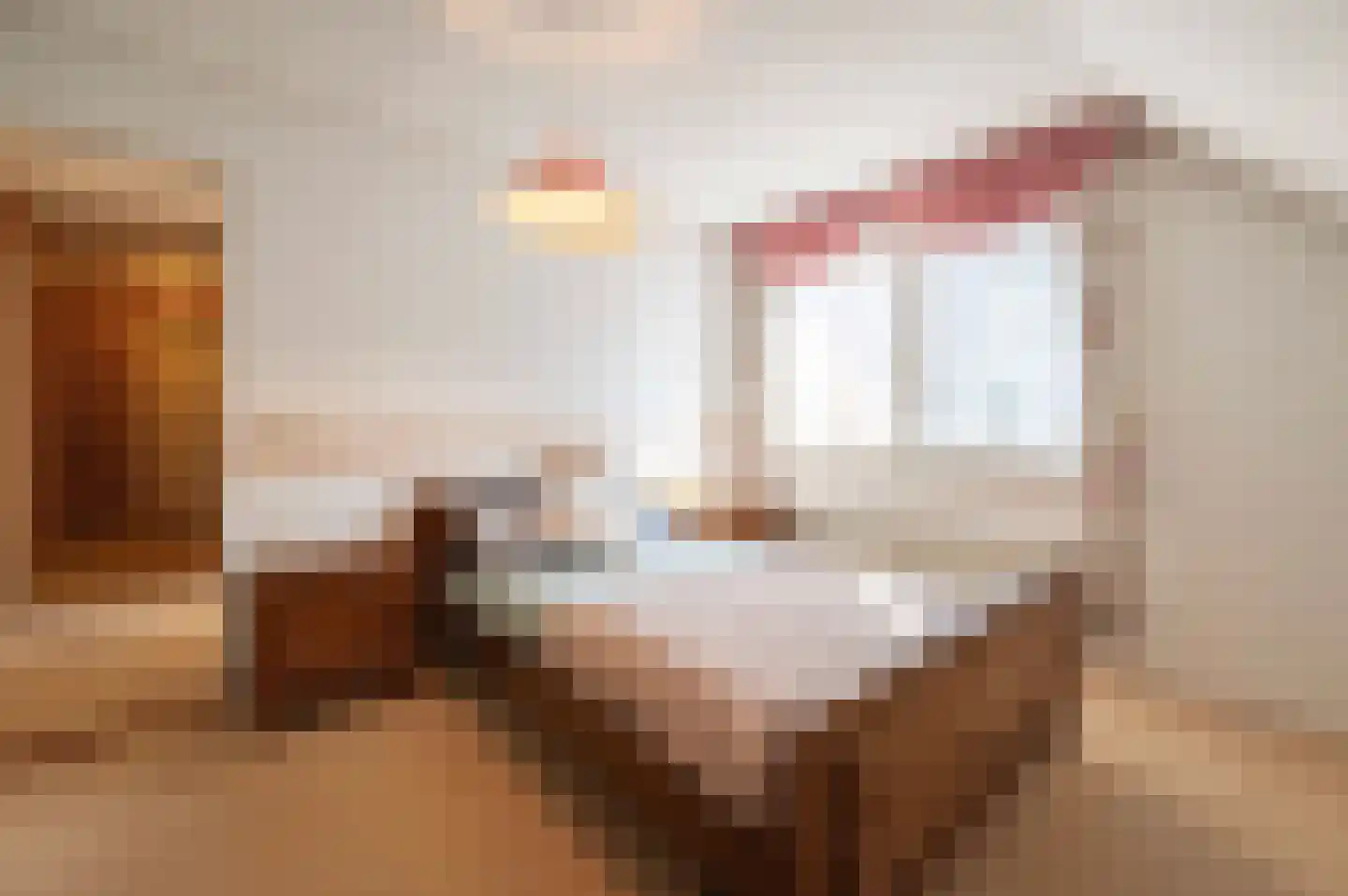 Pastoor van Breugelstraat 9 Bosschenhoofd thumbnail 34
