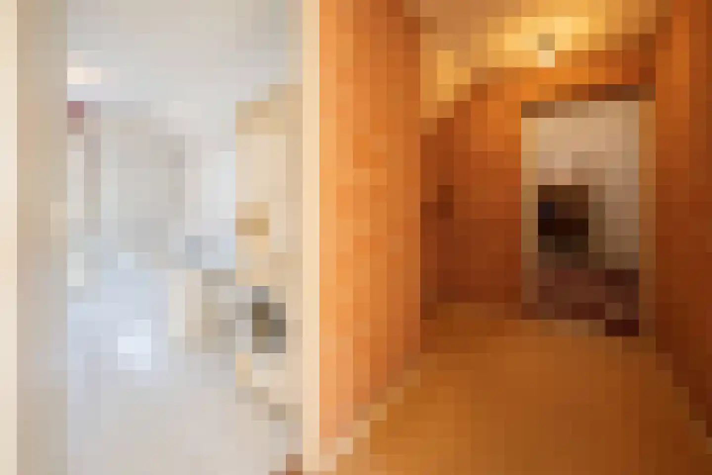 Pastoor van Breugelstraat 9 Bosschenhoofd thumbnail 43