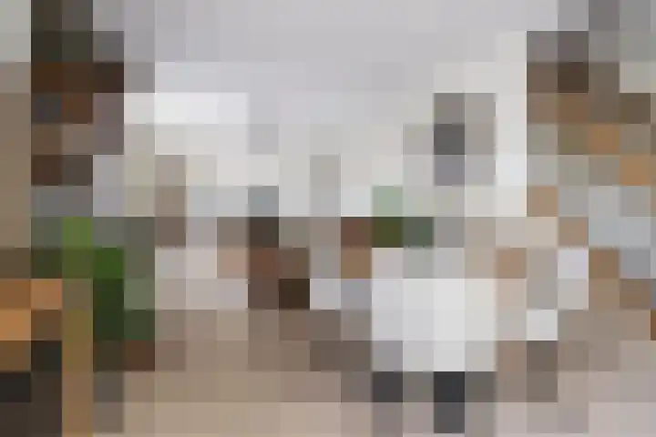 Pastoor van Breugelstraat 95 Bosschenhoofd thumbnail 11
