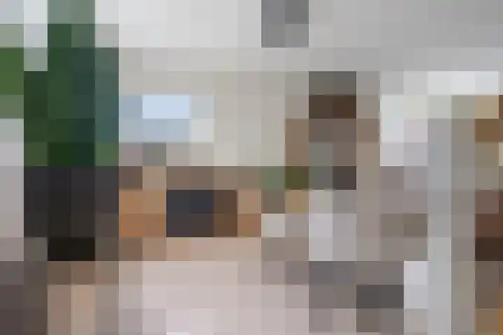 Pastoor van Breugelstraat 95 Bosschenhoofd thumbnail 12