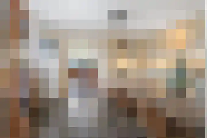 Pastoor van Breugelstraat 95 Bosschenhoofd thumbnail 13