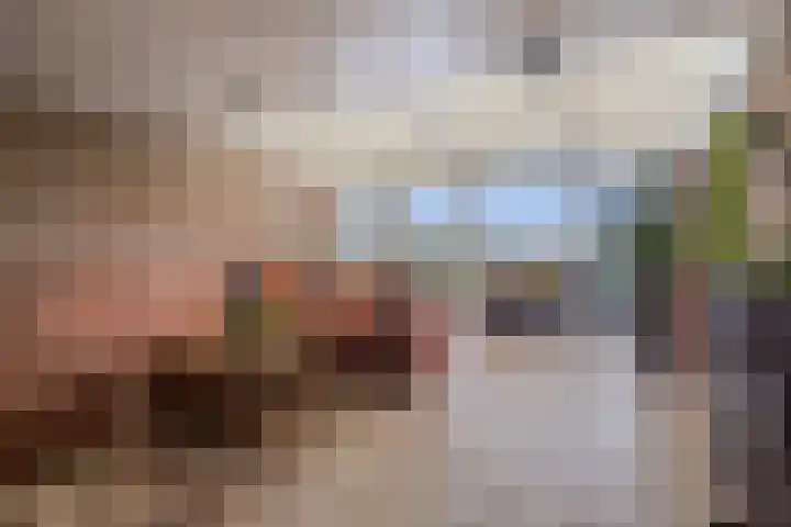 Pastoor van Breugelstraat 95 Bosschenhoofd thumbnail 21