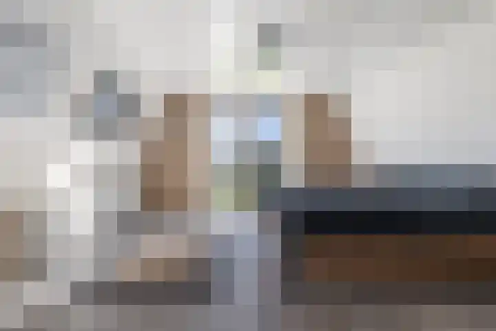 Pastoor van Breugelstraat 95 Bosschenhoofd thumbnail 24