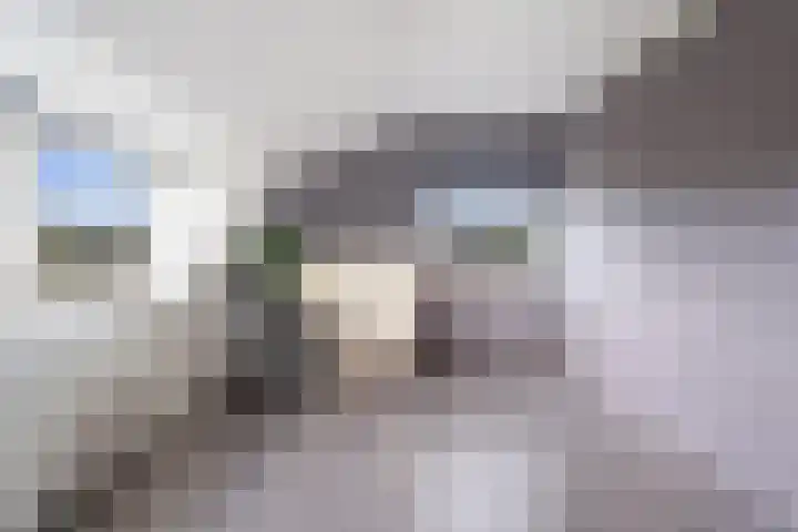 Pastoor van Breugelstraat 95 Bosschenhoofd thumbnail 33