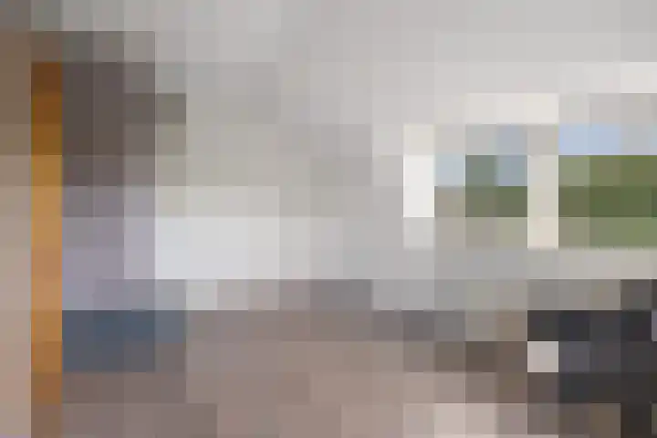 Pastoor van Breugelstraat 95 Bosschenhoofd thumbnail 34