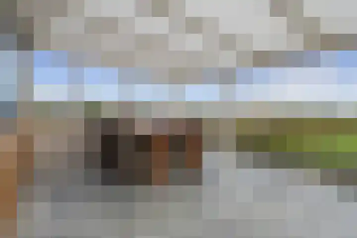 Pastoor van Breugelstraat 95 Bosschenhoofd thumbnail 35
