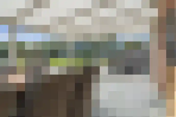 Pastoor van Breugelstraat 95 Bosschenhoofd thumbnail 37