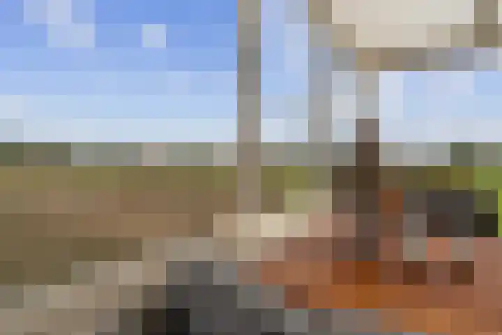 Pastoor van Breugelstraat 95 Bosschenhoofd thumbnail 38
