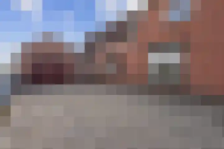 Pastoor van Breugelstraat 95 Bosschenhoofd thumbnail 5