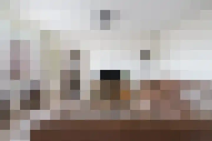 Pastoor van Breugelstraat 95 Bosschenhoofd thumbnail 8