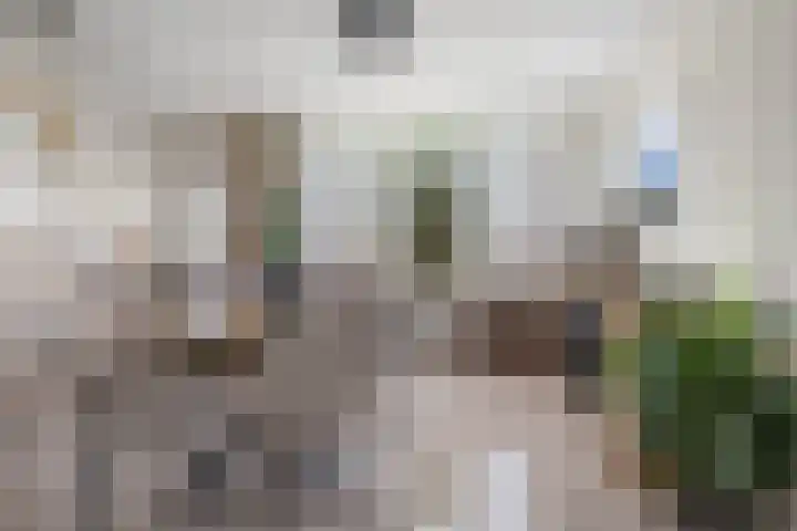 Pastoor van Breugelstraat 95 Bosschenhoofd thumbnail 9
