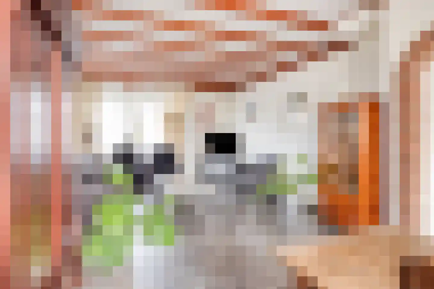 Pastoor van Cruchtenstraat 36 Swalmen thumbnail 16