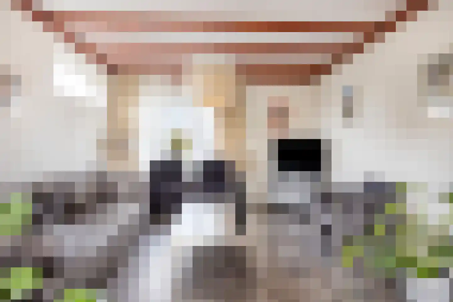 Pastoor van Cruchtenstraat 36 Swalmen thumbnail 17