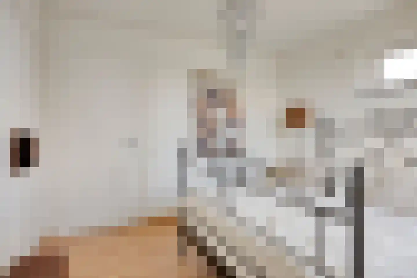 Pastoor van Cruchtenstraat 36 Swalmen thumbnail 22