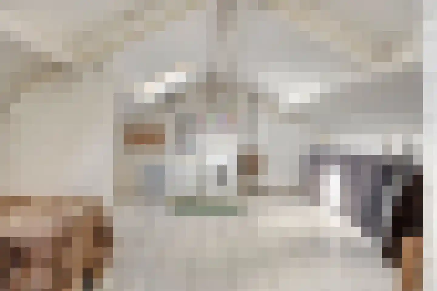 Pastoor van Cruchtenstraat 36 Swalmen thumbnail 30