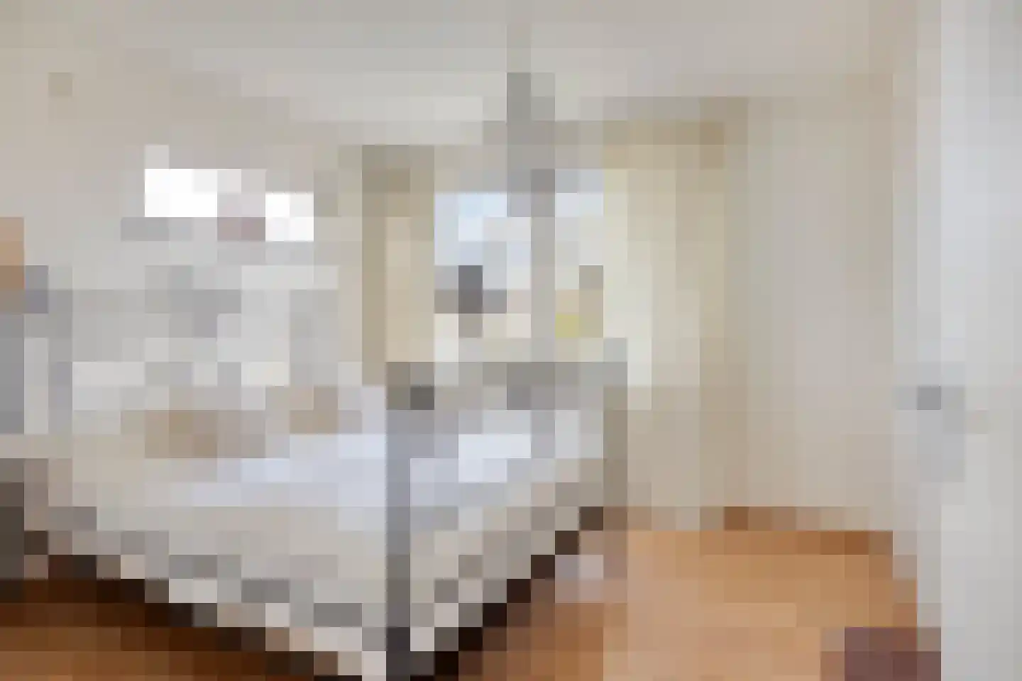 Pastoor van Cruchtenstraat 36 Swalmen thumbnail 4