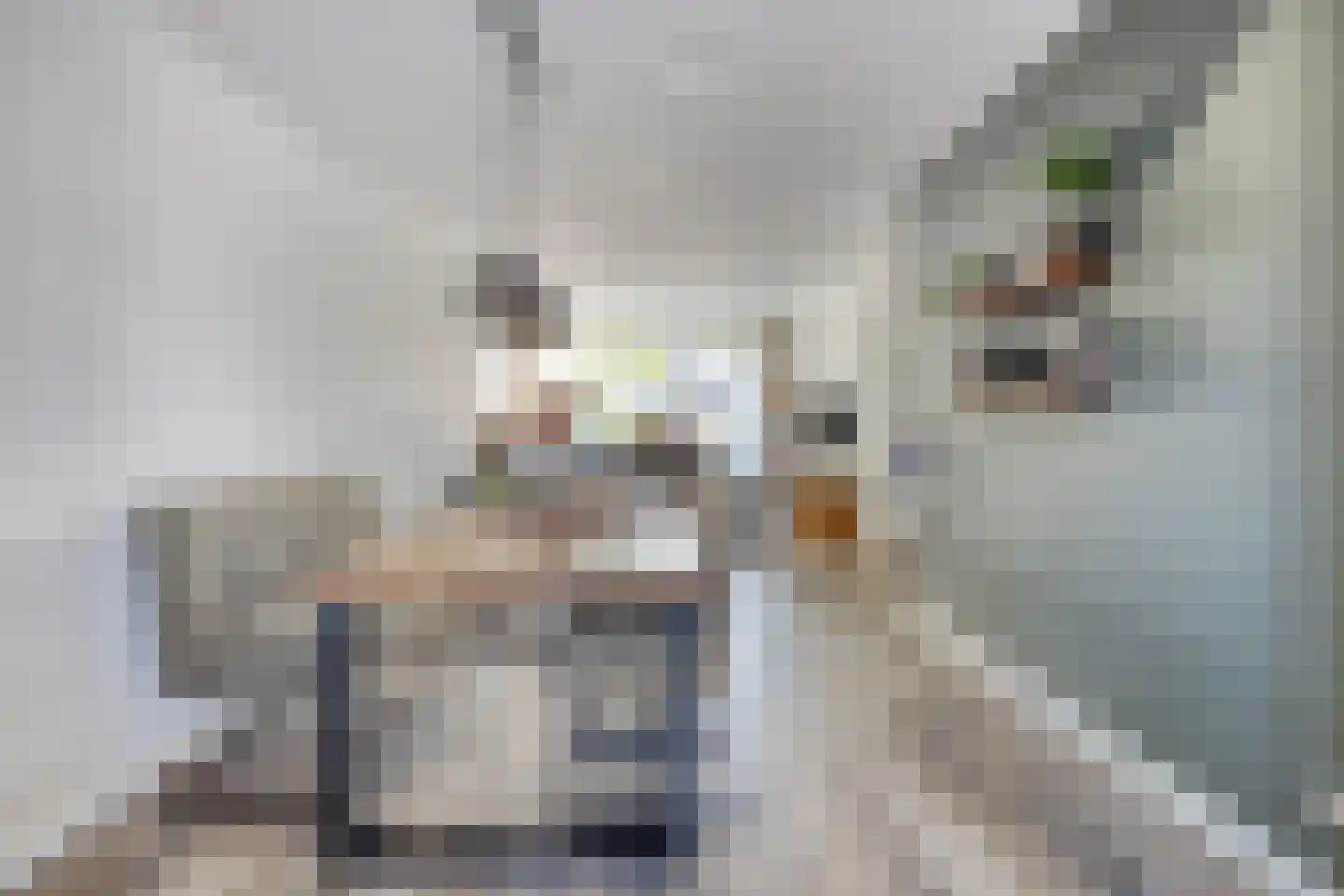 Pastoor van Cruchtenstraat 5 Swalmen thumbnail 11