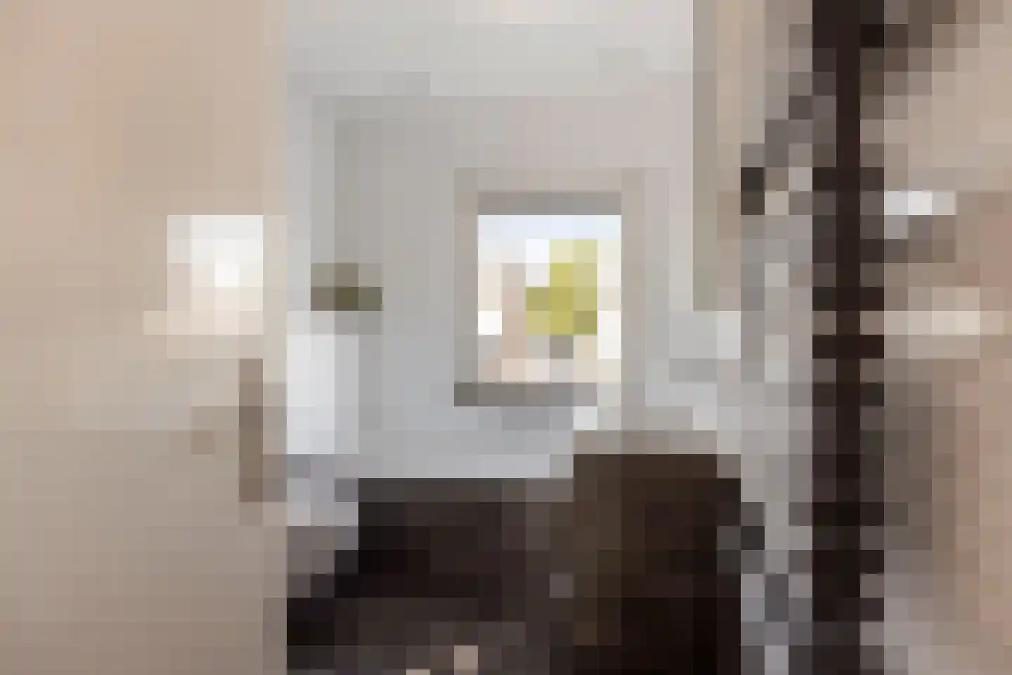 Pastoor van Cruchtenstraat 5 Swalmen thumbnail 28
