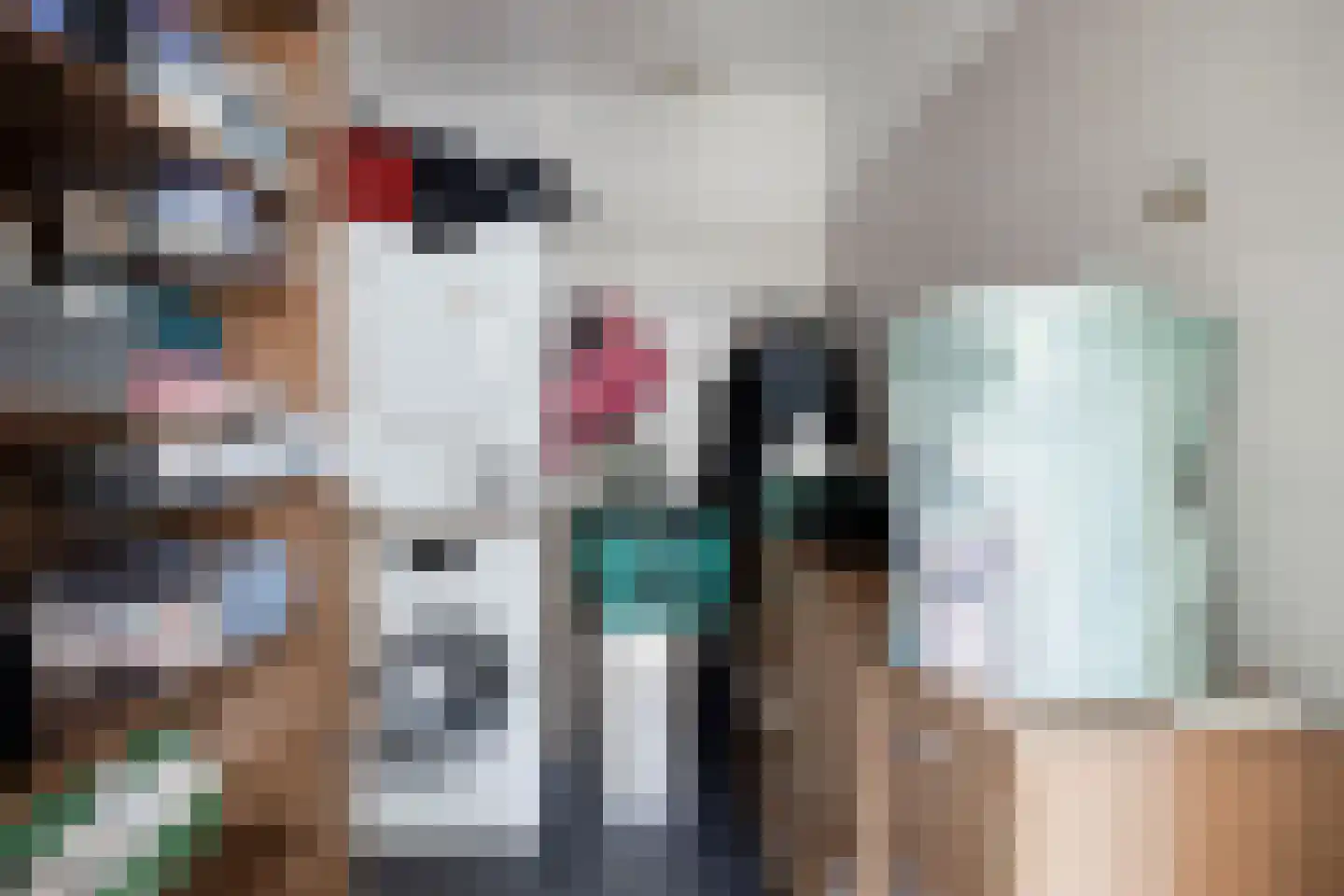 Pastoor van Cruchtenstraat 5 Swalmen thumbnail 32