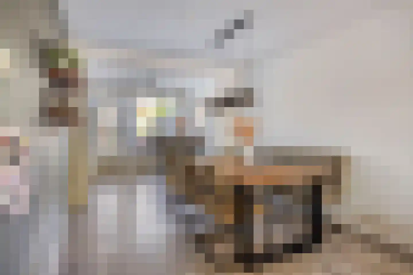 Pastoor van Cruchtenstraat 5 Swalmen thumbnail 8