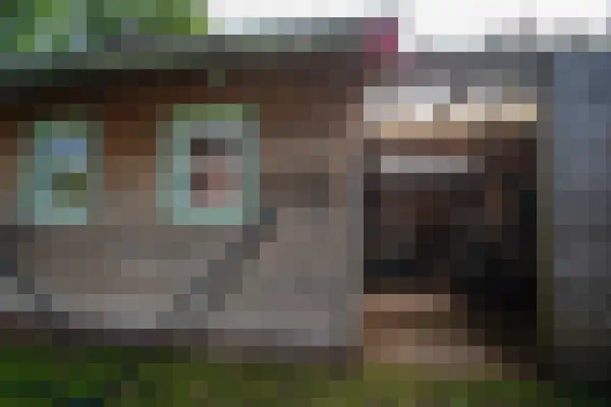 Pastoor van Crugtenlaan 14 Heythuysen thumbnail 37
