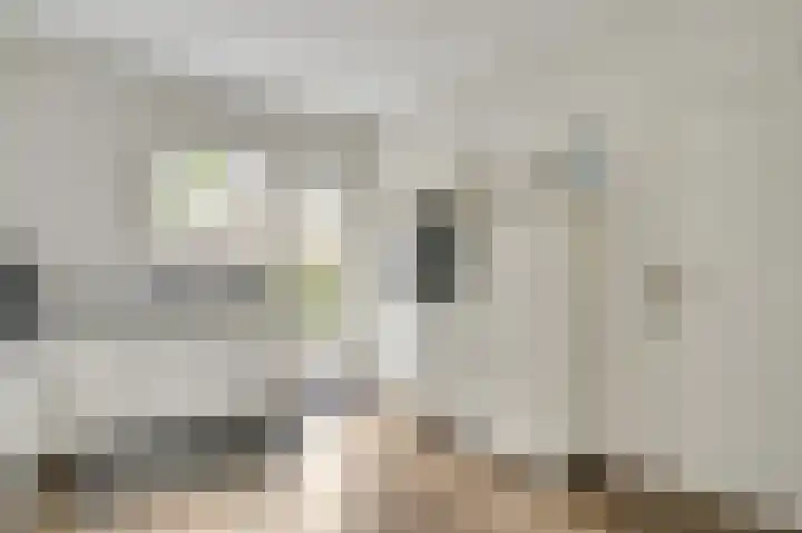 Pastoor van Crugtenlaan 2 a Heythuysen thumbnail 11